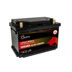 BATERIA LITIO COMPACTA 100AH
